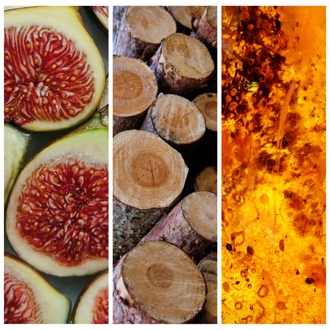 Fig 無花果