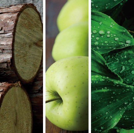 Prolitec商用擴香設備,香氛,Airy雲霧琥珀,普魯斯特效應,醫思欣泰