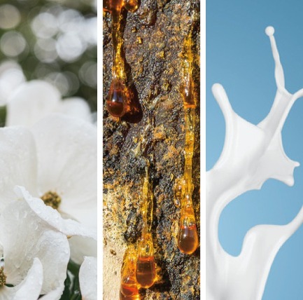 Prolitec商用擴香設備,香氛,Airy雲霧琥珀,普魯斯特效應,醫思欣泰